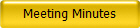 Meeting Minutes